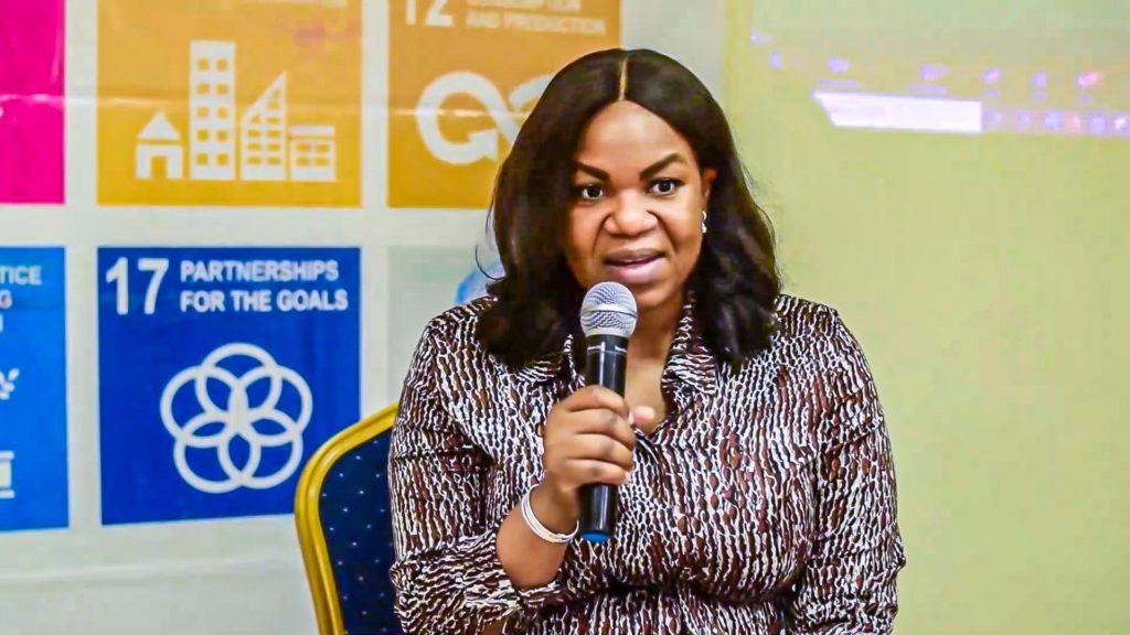 Nigerian change-maker Damilola Ogunbiyi  leads UN-backed global group Sustainable Energy for All
